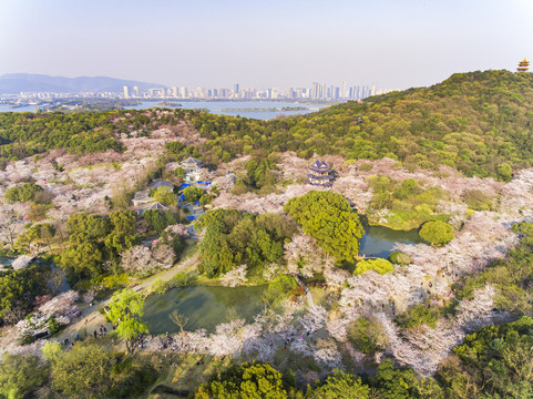 太湖鼋头渚风景区