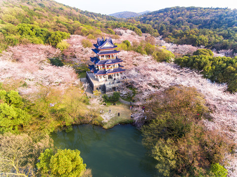 航拍太湖鼋头渚风景区