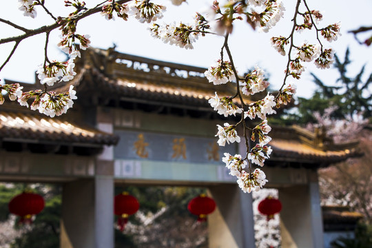 太湖鼋头渚风景区