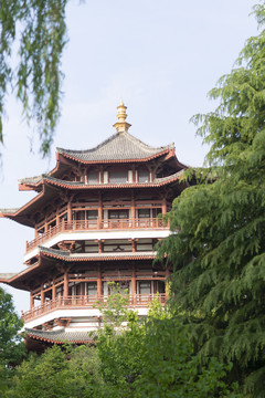龙山公园