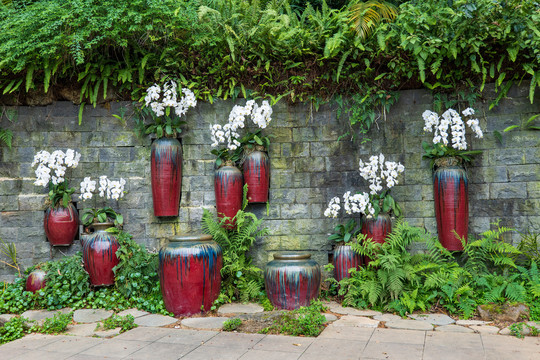 兰花盆景背景墙