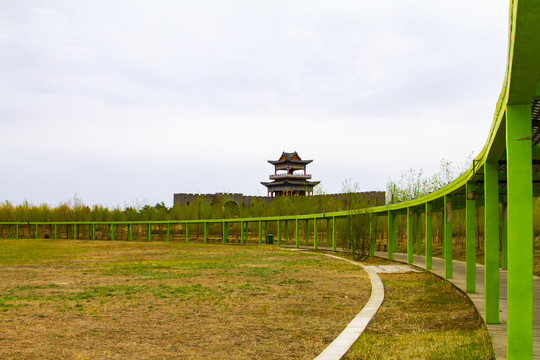 嫩江湾湿地