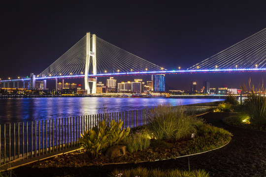 上海南浦大桥与黄浦江东岸建筑夜