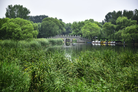 湖畔新春景色