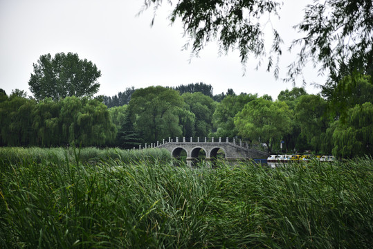 湖畔春天景色