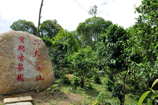 贺开古树茶六大茶山石碑