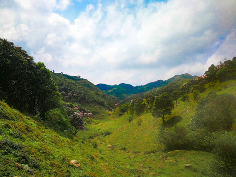 鸡笼顶风景