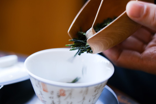 茶艺师泡茶