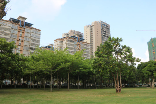 茂名市南香公园