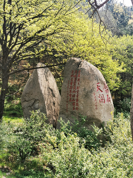 青岛崂山劈石口