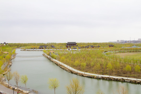 嫩江湾湿地