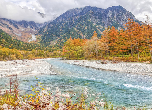 群山河流和枫树森林