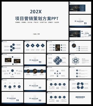 项目营销策划方案ppt