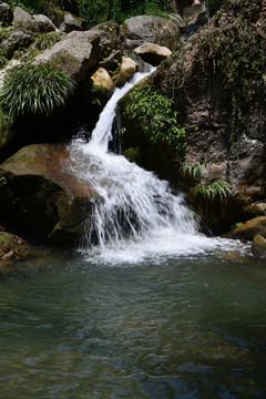 青城山风光