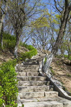 景区山路