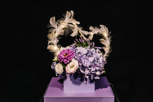 紫色心形创意花盒
