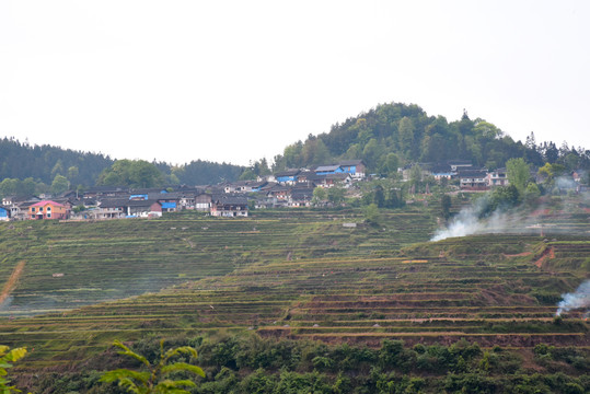 高山人家