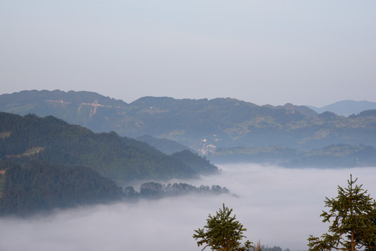 高山云雾