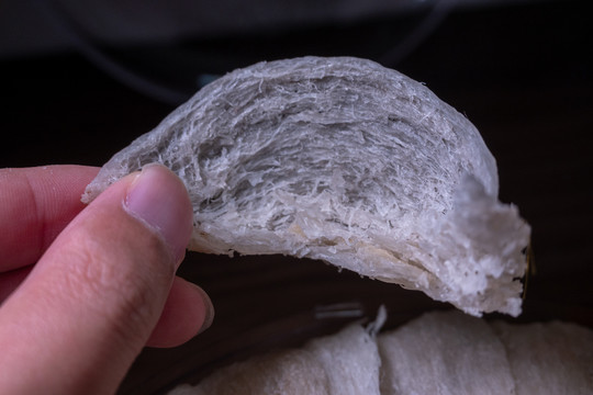 燕窝燕盏