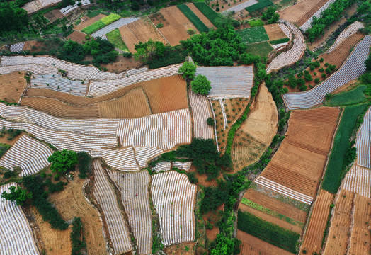 山区梯田