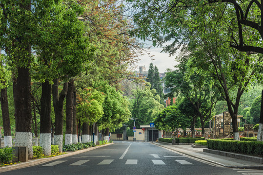 城市道路景观