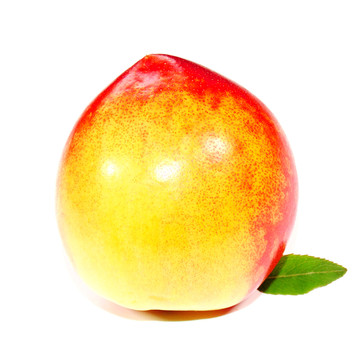 澳洲油桃