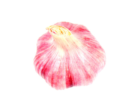 蒜头
