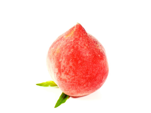 红桃