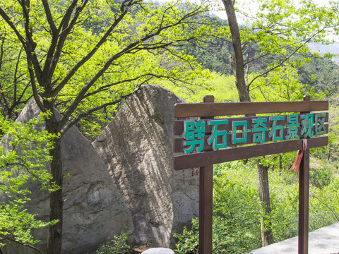 青岛崂山劈石口