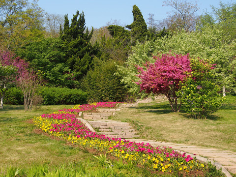 青岛植物园