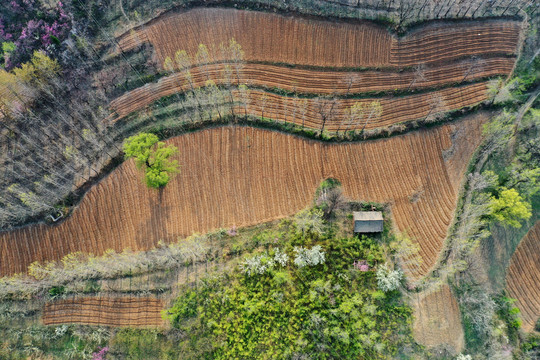 田野田园