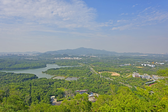 深圳铁岗水库和羊台山