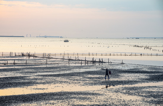 海边滩涂