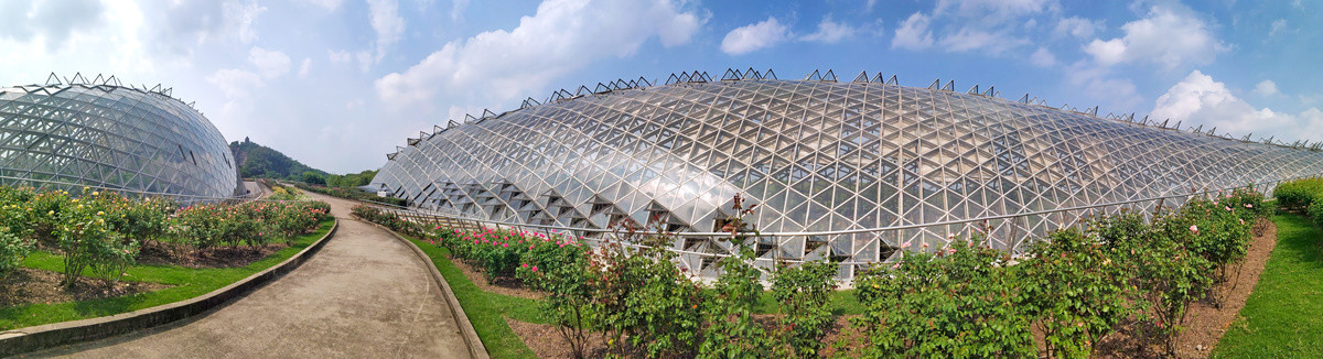 辰山植物园展览温室