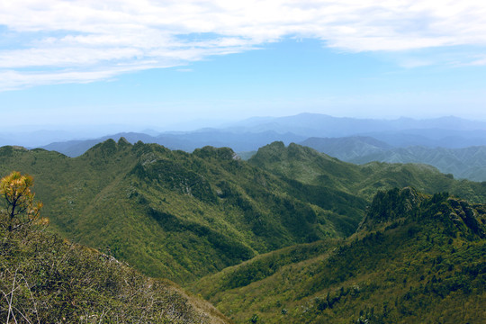 秦岭