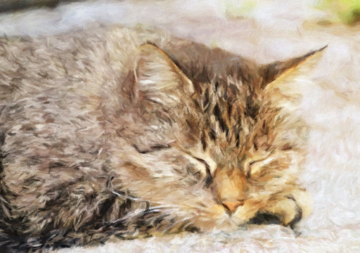 小猫油画