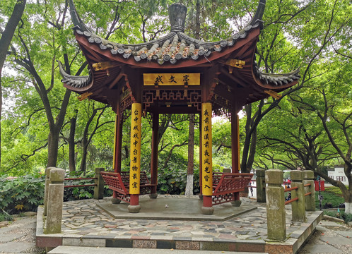 朝晖公园