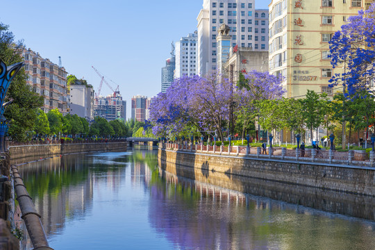 流淌于城市的河流