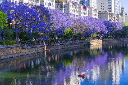 流淌于城市的河流