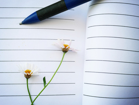 日记花朵
