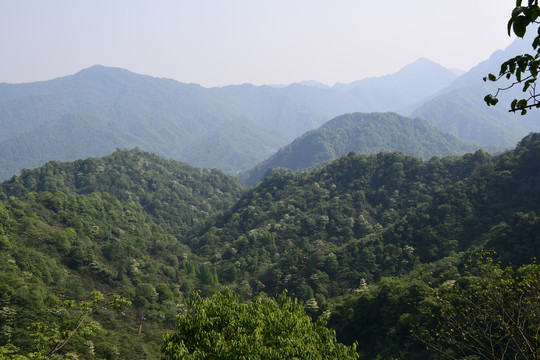 青城后山