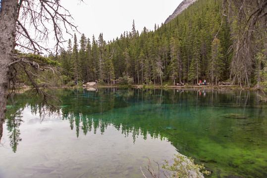 绿色的湖