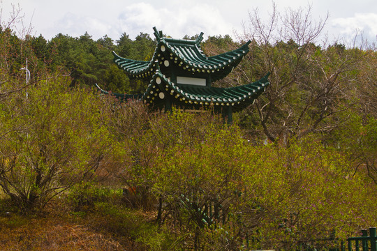 石头口门水库