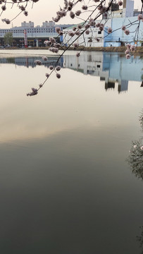 画意背景
