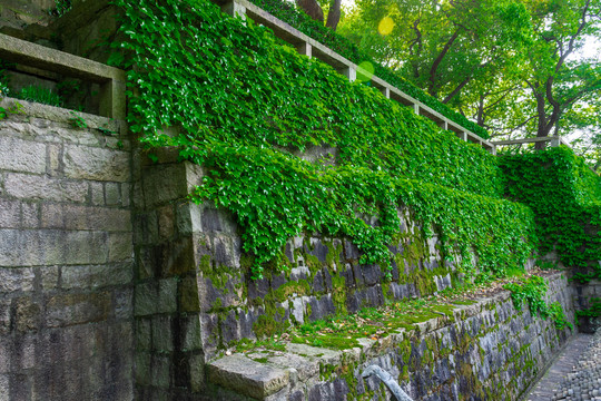 虎丘山风景名胜区