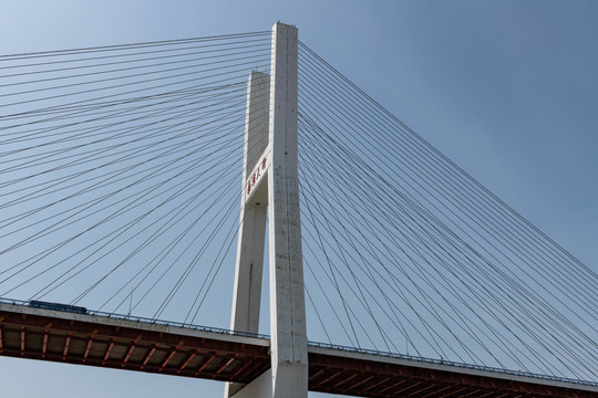 上海南浦大桥桥面标志