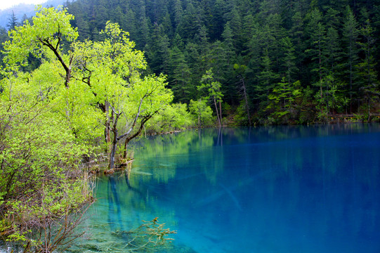 阿坝九寨山水