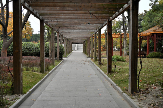 公园的景观长廊
