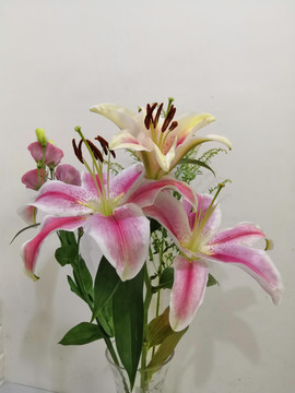 百合花