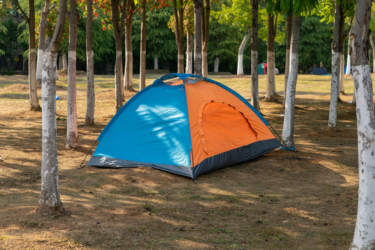 林间的帐篷